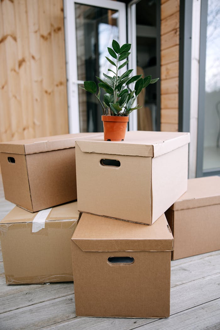 services-04 Stack of cardboard boxes with a houseplant on a porch, perfect for moving day